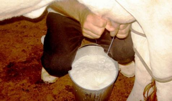 Как сделать чтобы было много молока у кормящей Как сделать чтобы было много молока у кормящей