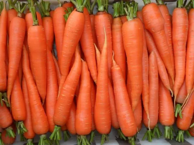 Хотите засушить морковь? Прекрасный выбор!