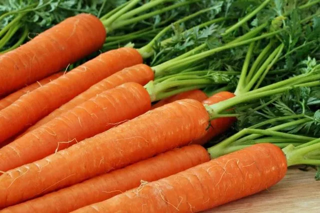 Что лучше всего посадить после моркови?