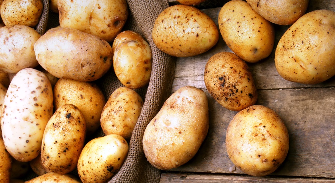 Картофель на песчаной подушке - новое слово в агротехнике