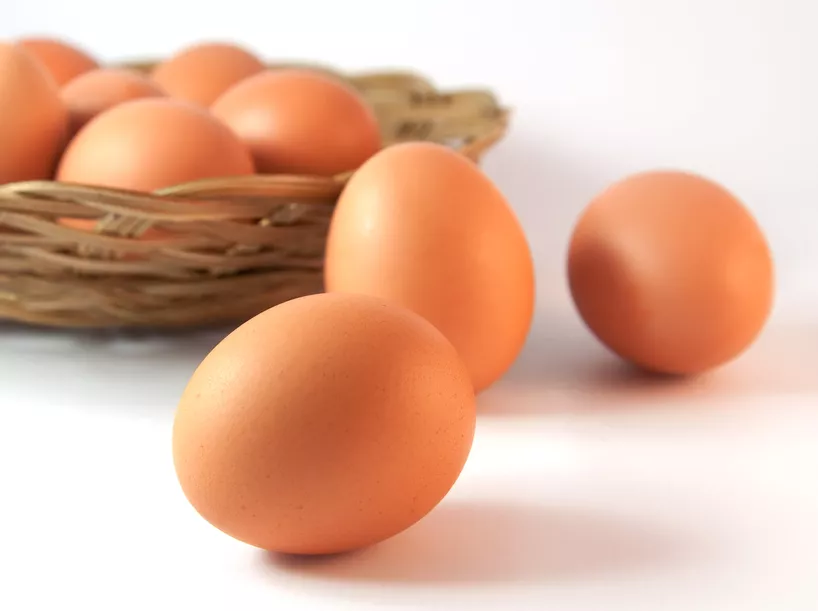 Что делать, чтобы куры несли крупные яйца и не болели