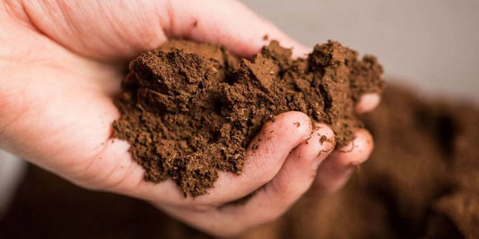 Как определить кислотность почвы в домашних условиях