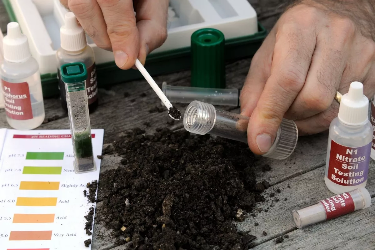 Как определить кислотность почвы в домашних условиях