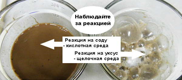 Как определить кислотность почвы в домашних условиях