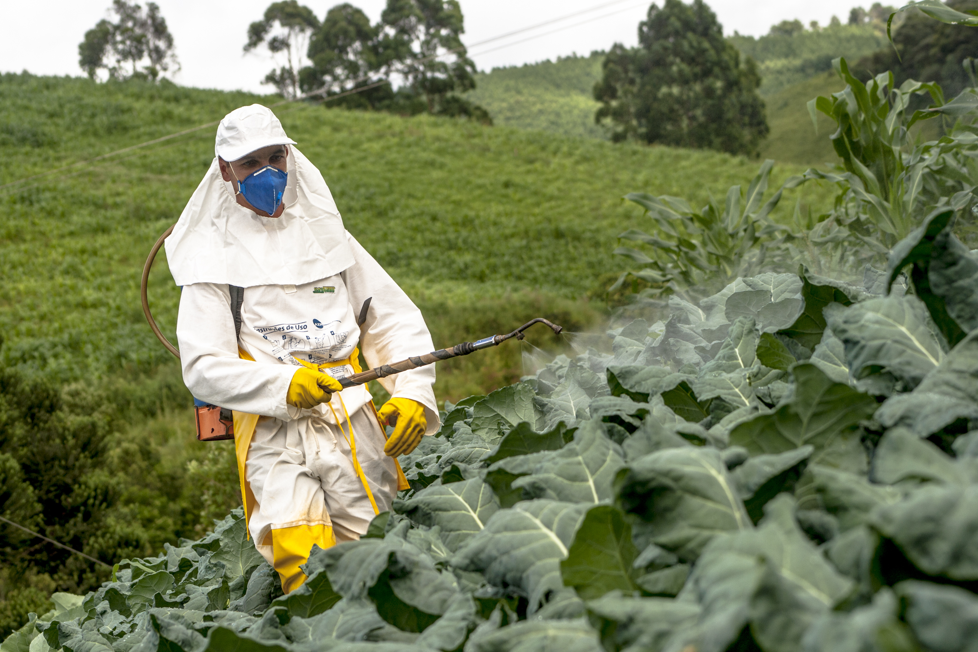 Пестициды и химические удобрения. Пестициды. Пестициды в сельском хозяйстве. Ядохимикаты в сельском хозяйстве. Пестициды и инсектициды.