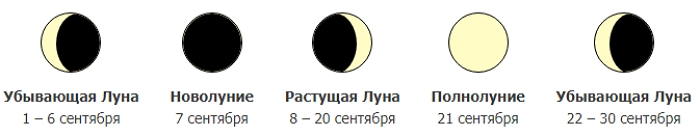 Когда и что сеять в 2021 году – лунный посевной календарь