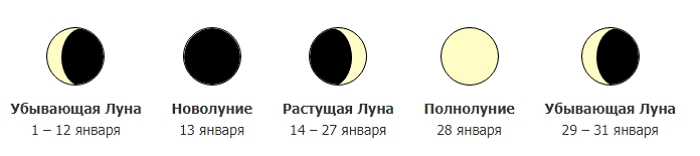 Когда и что сеять в 2021 году – лунный посевной календарь