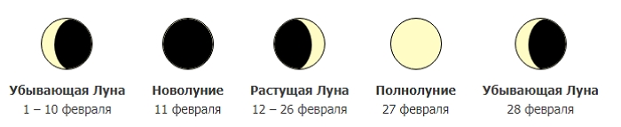 Когда и что сеять в 2021 году – лунный посевной календарь