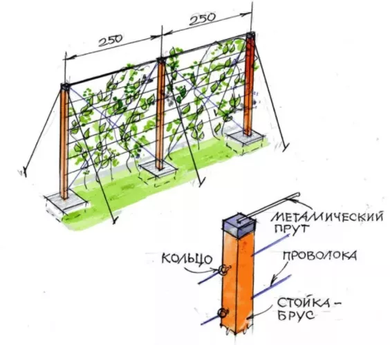 Как сделать шпалеры для виноградника своими руками?