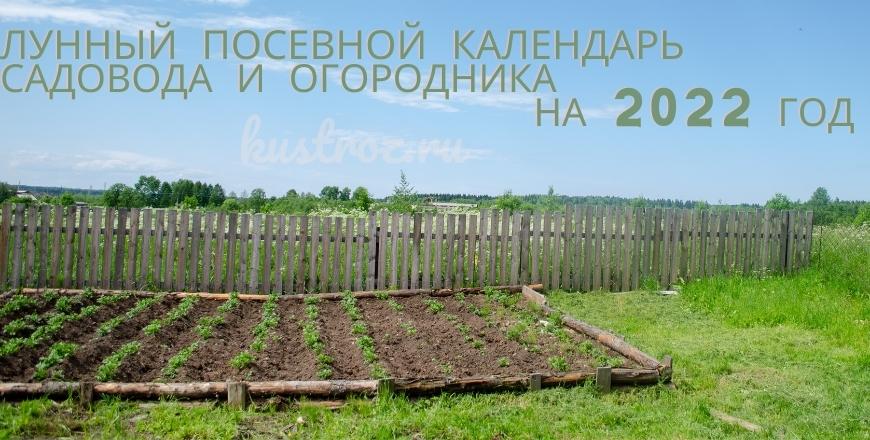 Прикольные картинки садово огородные работы