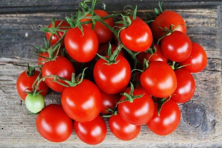 Низкорослые помидоры: лучшие сорта с фото и названиями (каталог)