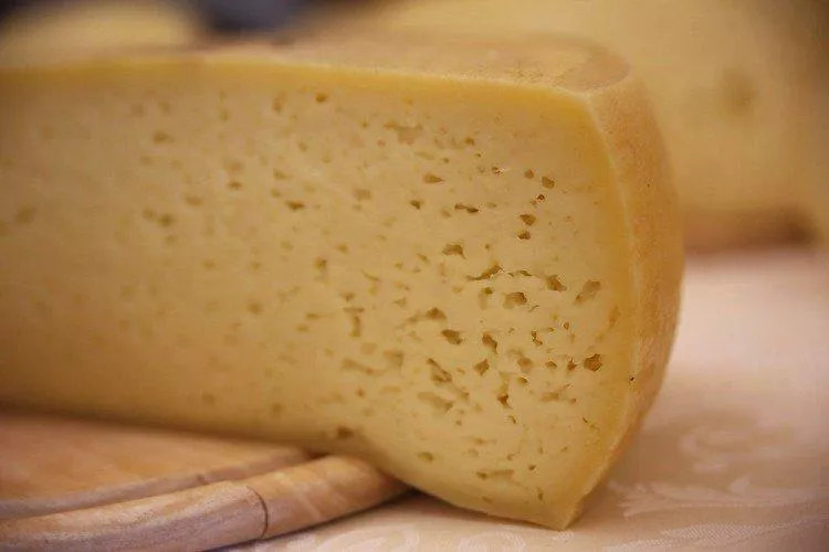 Твердые сорта сыра - названия, фото и описания (список)