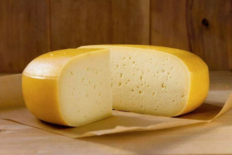 Твердые сорта сыра - названия, фото и описания (список)