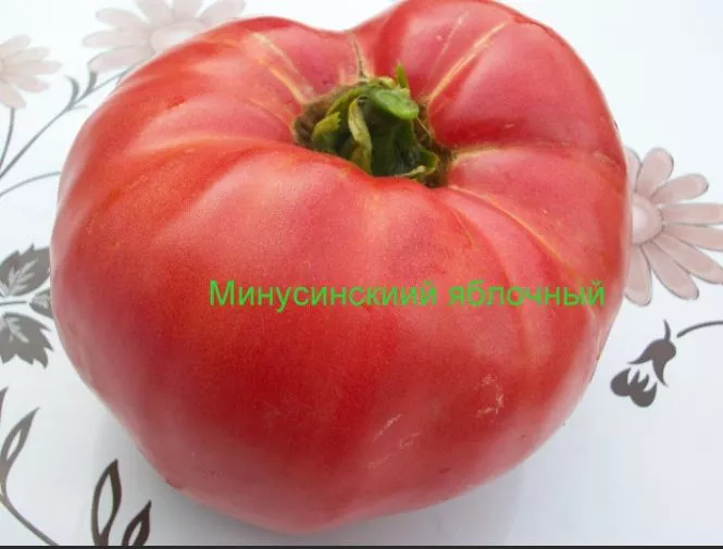 19 минусинских сортов томатов с отзывами, фото и подробным описанием