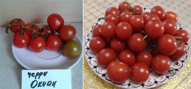 5 вкусных сортов помидоров черри