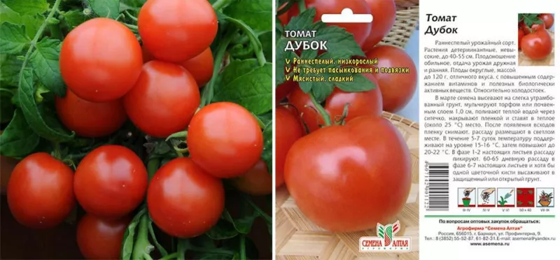 62 сорта низкорослых томатов