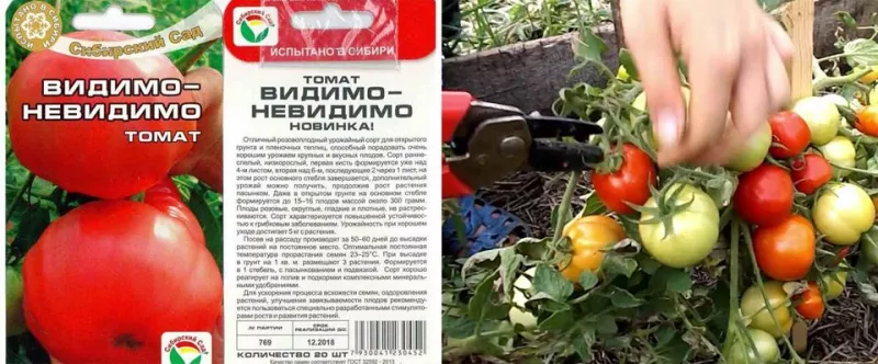 62 сорта низкорослых томатов