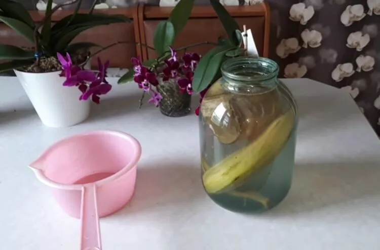 Банановая кожура как удобрение для комнатных и садовых растений
