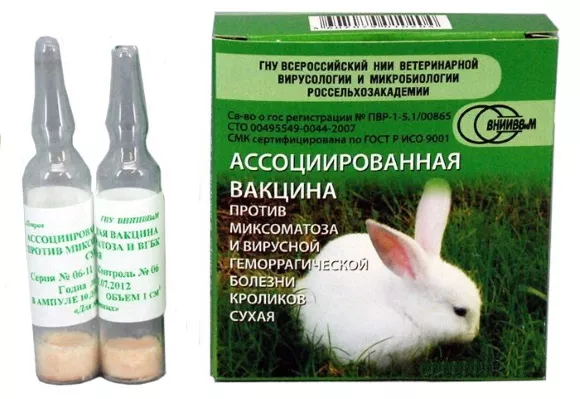 Болезни кроликов. Фото, симптомы и лечение
