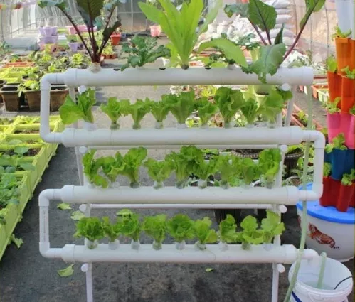 Гидропонная установка своими руками для выращивания трав, клубники, лука, микрозелени