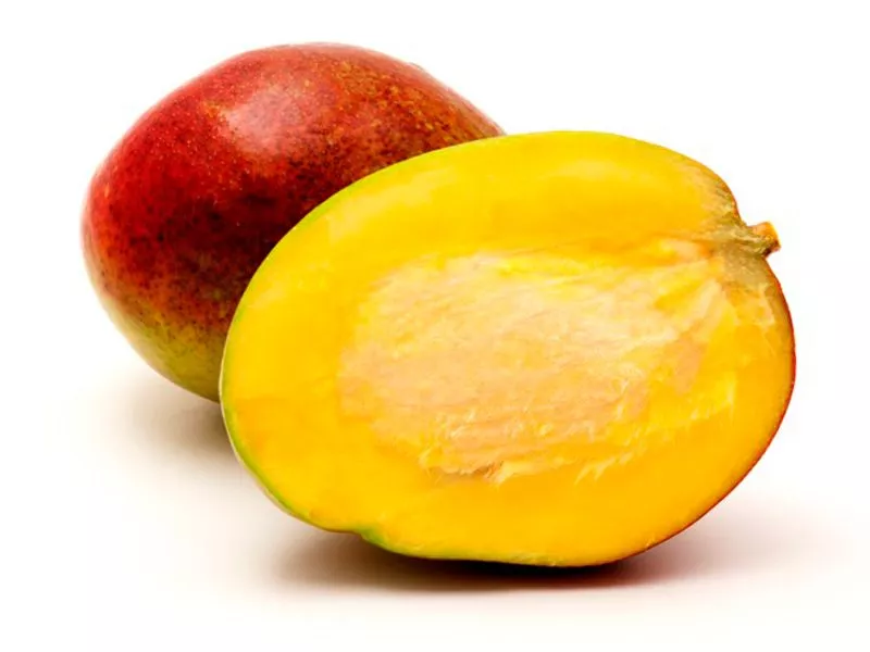 Как вырастить манго из косточки: особенности посадки