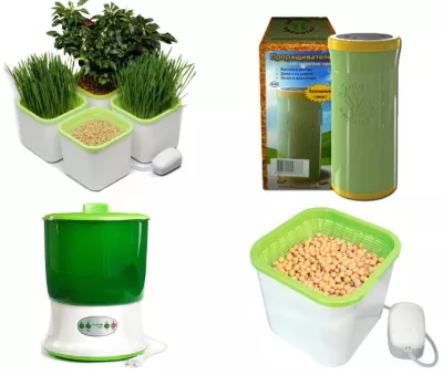 Как вырастить микрозелень (микрогрин) в домашних условиях без земли, на подоконнике, в банке. Лучший способ