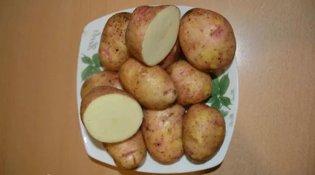 Картофель Аврора: характеристика сорта, мнения, вкусовые качества