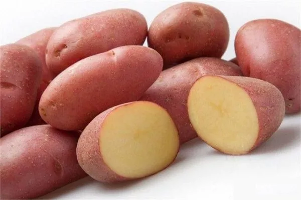 Картофельный манифест: описание сорта в таблице, фото, отзывы