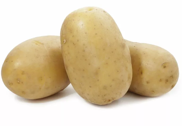 Картофель Вега — характеристика сорта, отзывы, вкус, фото