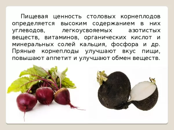 Имущество. Список овощей, фото растений, классификация, все о них