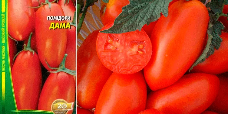 Лучшие сорта томатов, не требующие прищипки