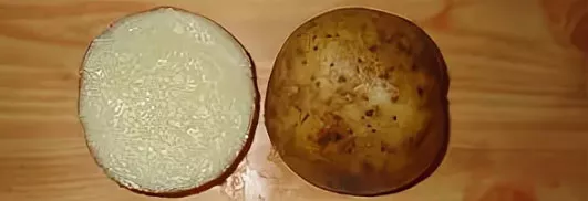Описание сорта картофеля Невский, фото, отзывы овощеводов