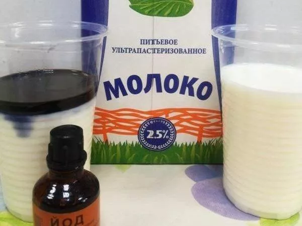 Подкормка огурцов молоком: 16 рецептов полива и опрыскивания
