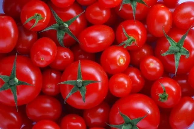 Подкормка при посадке томатов