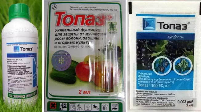 Препарат Топаз для растений: инструкция по применению, отзывы