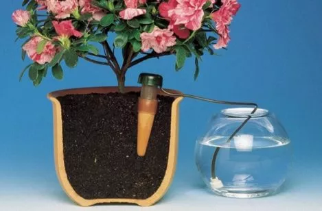 Система автоматического полива комнатных растений: виды автоматического полива, своими руками, плюсы и минусы