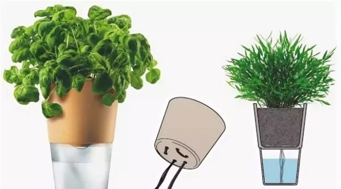 Система автоматического полива комнатных растений: виды автоматического полива, своими руками, плюсы и минусы
