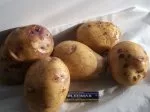 Сорт картофеля Бриз: описание в таблице, фото, отзывы, сравнение