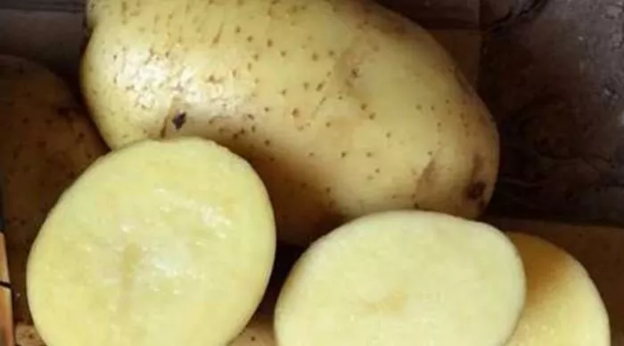 Сорт картофеля Бриз: описание в таблице, фото, отзывы, сравнение