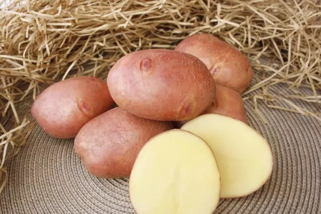 Взрывной сорт картофеля: описание, сравнение с другими в таблице, посадка и уход