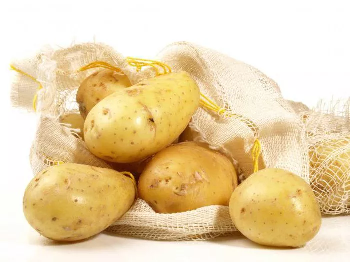 Сорт картофеля Зекура: характеристика и сравнение с другими в таблицах, отзывы