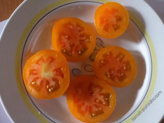 Сорт помидор Король Сибири: отзывы, фото, описание в таблице, выращивание