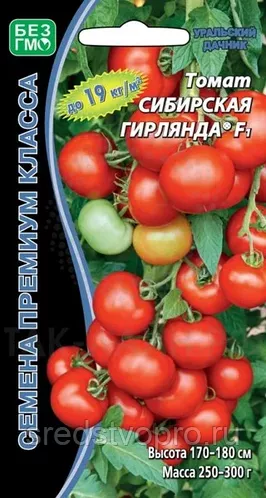 Сорт томата Сибирская гирлянда: описание в таблице, фото, отзывы