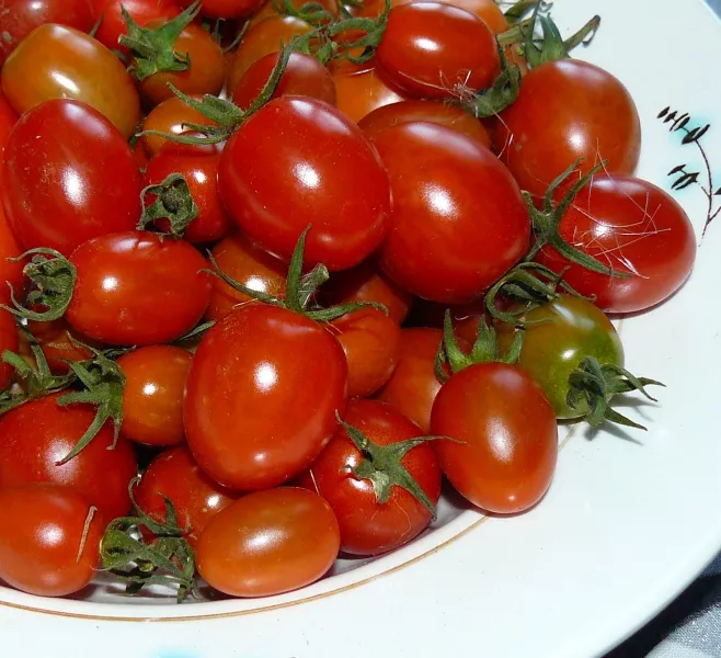 Сорта томатов серии Дата: описание, фото, отзывы, сравнение