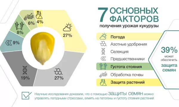Урожайность кукурузы на зерно с 1 га в России