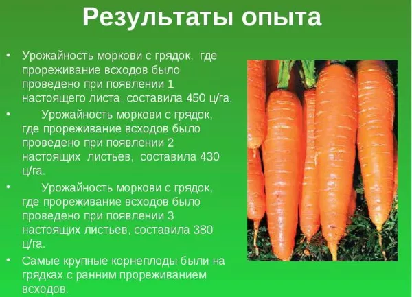 Урожайность моркови с 1 га в открытом грунте России по регионам
