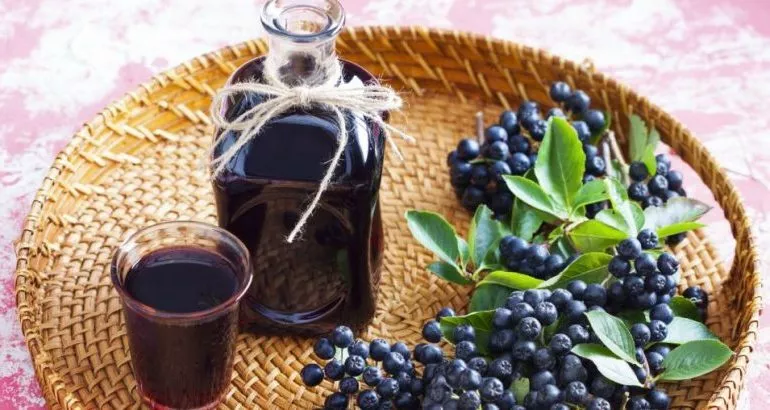 Вино из аронии — 4 рецепта: легкое и крепленое