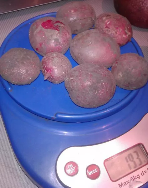 Выращивание картофеля из семян в домашних условиях + 6 способов и 6 сортов с фото