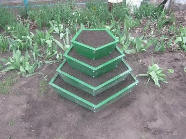 Выращивание клубников в ящиках над землей